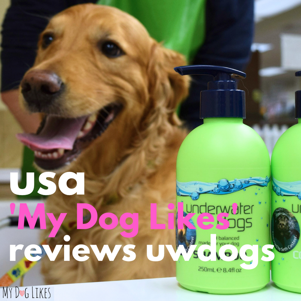 'My Dog Likes' Reviews Underwater Dogs
