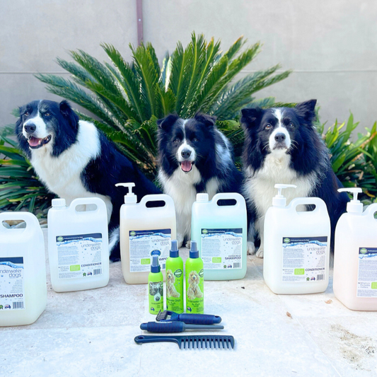 Shampoo Mixer Bottle 750 mL | UWDOGS Professional Grooming Tool Australia