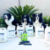 Spa-Day Gift Cards for Dogs | Underwater Dogs Grooming Gift Vouchers