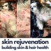 Sensitive Dog Shampoo & Conditioner Combo | Lemon Myrtle “Itchy-Skin” Care | UWDOGS Australia