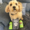 Gloss Tri-Pack Grooming Kit + Microfibre Towel – Shampoo, Conditioner & Deodoriser