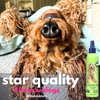 Professional Dog Grooming Tools | UWDOGS Australia