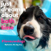 5L Dog Conditioner | Professional Leave-In Formula for Sensitive Skin