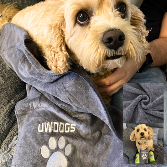 Ultra-Absorbent Microfibre Dog Bath Towel | Australian-Made Pet Drying Towel