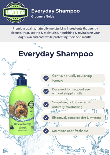 Everyday Shampoo