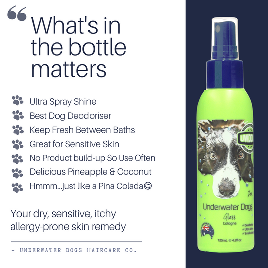 Underwater Dogs Gloss Deodoriser Spray Shine – Dog Odour & Coat Refresher
