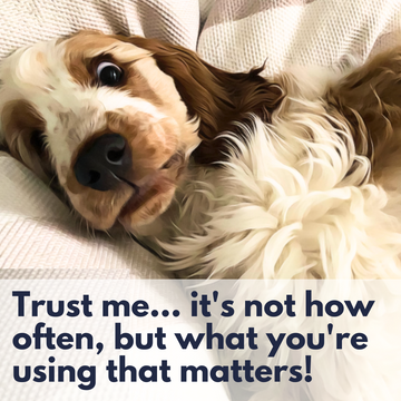 Are you using professionally formulated, naturally moisturising, soap-free, pH balanced canine haircare on your best furiend?