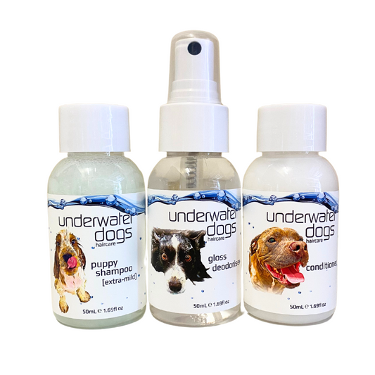 Trail Pack – Travel Dog Grooming Kit with Shampoo & Conditioner | UWDOGS