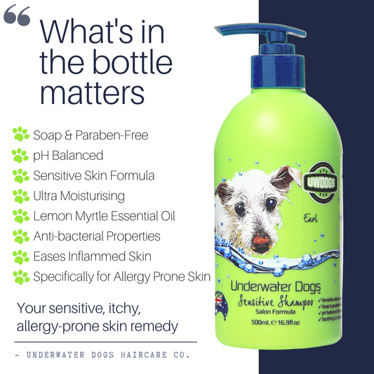 Naturally Moisturising Sensitive Dog Shampoo | Lemon Myrtle