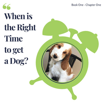 Chapter 1. When is the right time to get a dog?