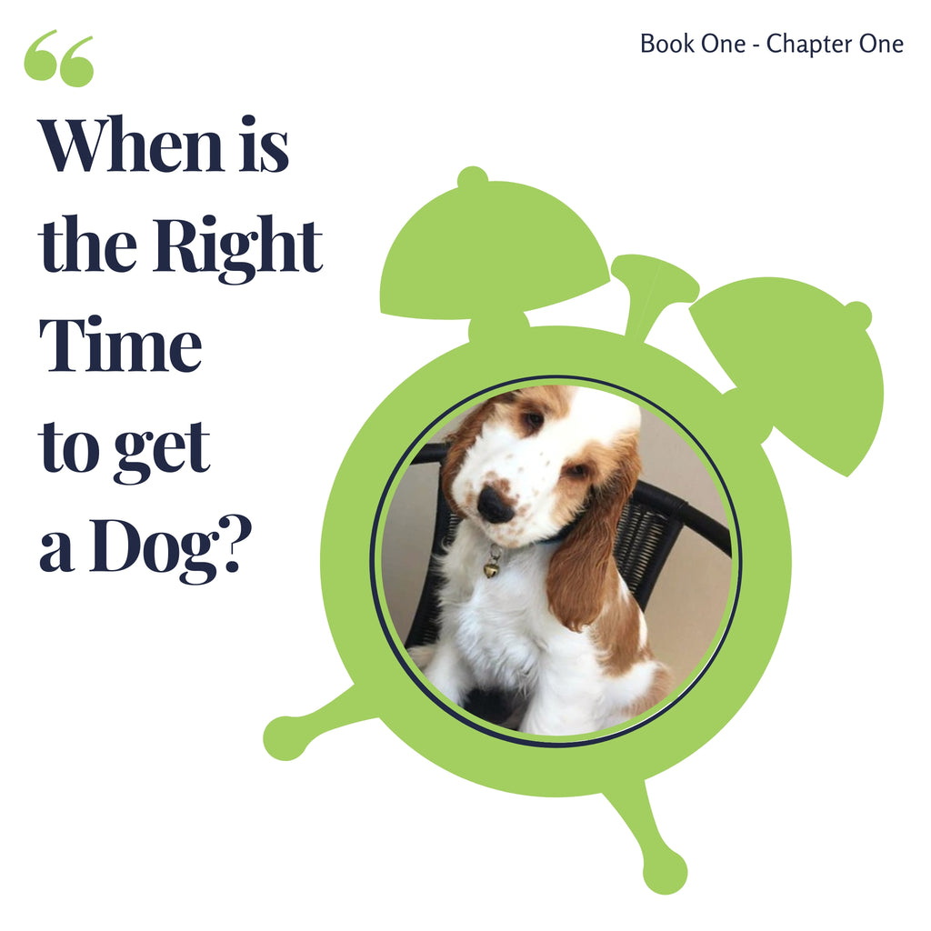 Chapter 1. When is the right time to get a dog?