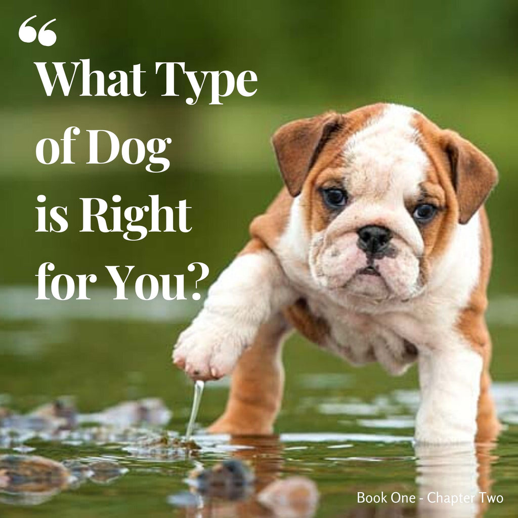 Chapter 2. What type of dog is right for you?