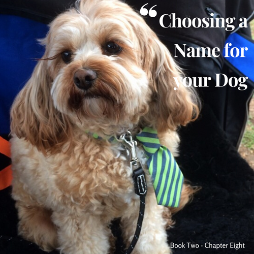 Chapter 8. Choosing a name for your Dog