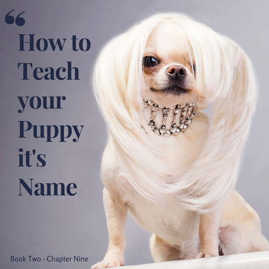 Chapter 9. How to teach your Puppy it's name