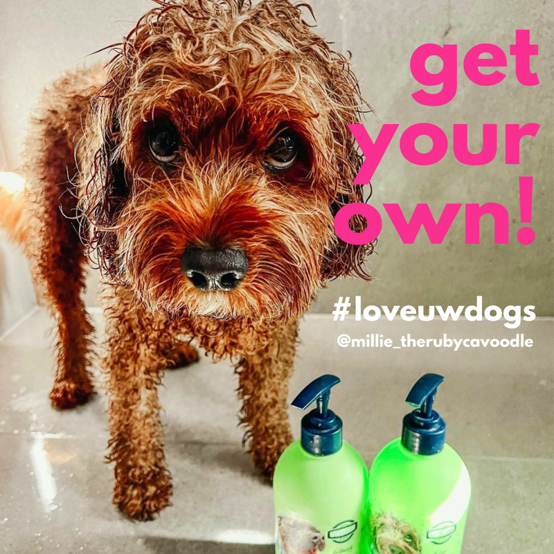Millie's clearance dog shampoo