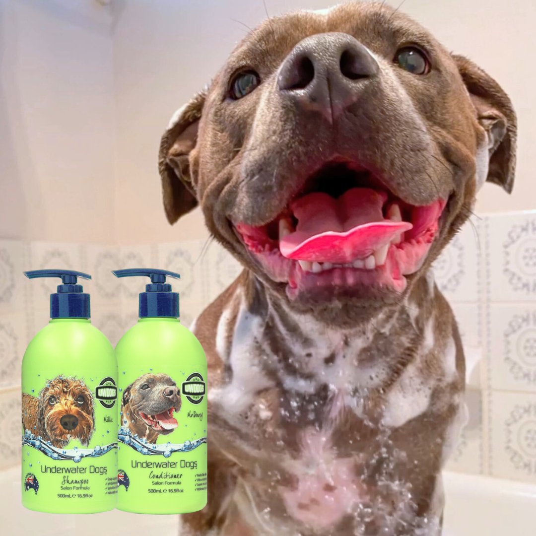 Underwater top dogs shampoo