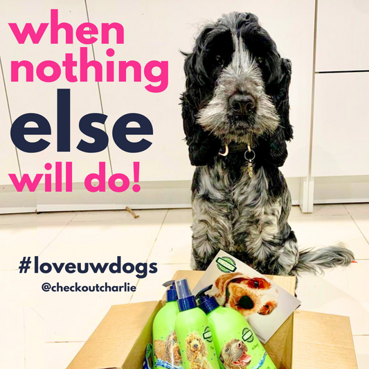Deluxe Everyday Dog Pamper Pack | Australian-Made Grooming Set