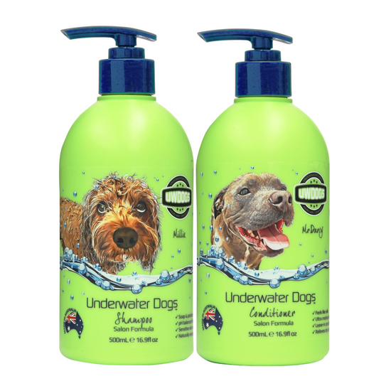 shampoo & conditioner combo 500ml