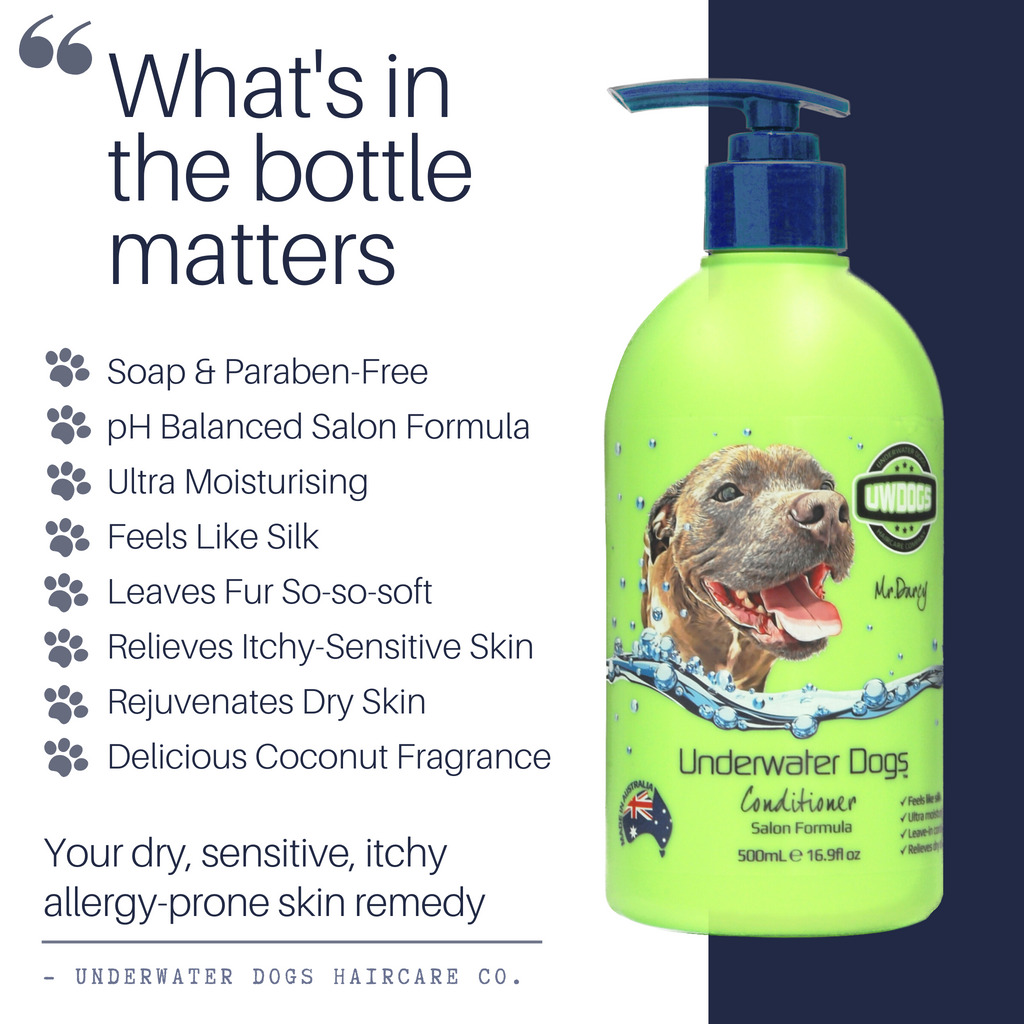 Dog leave in conditioner for 2024 dry skin