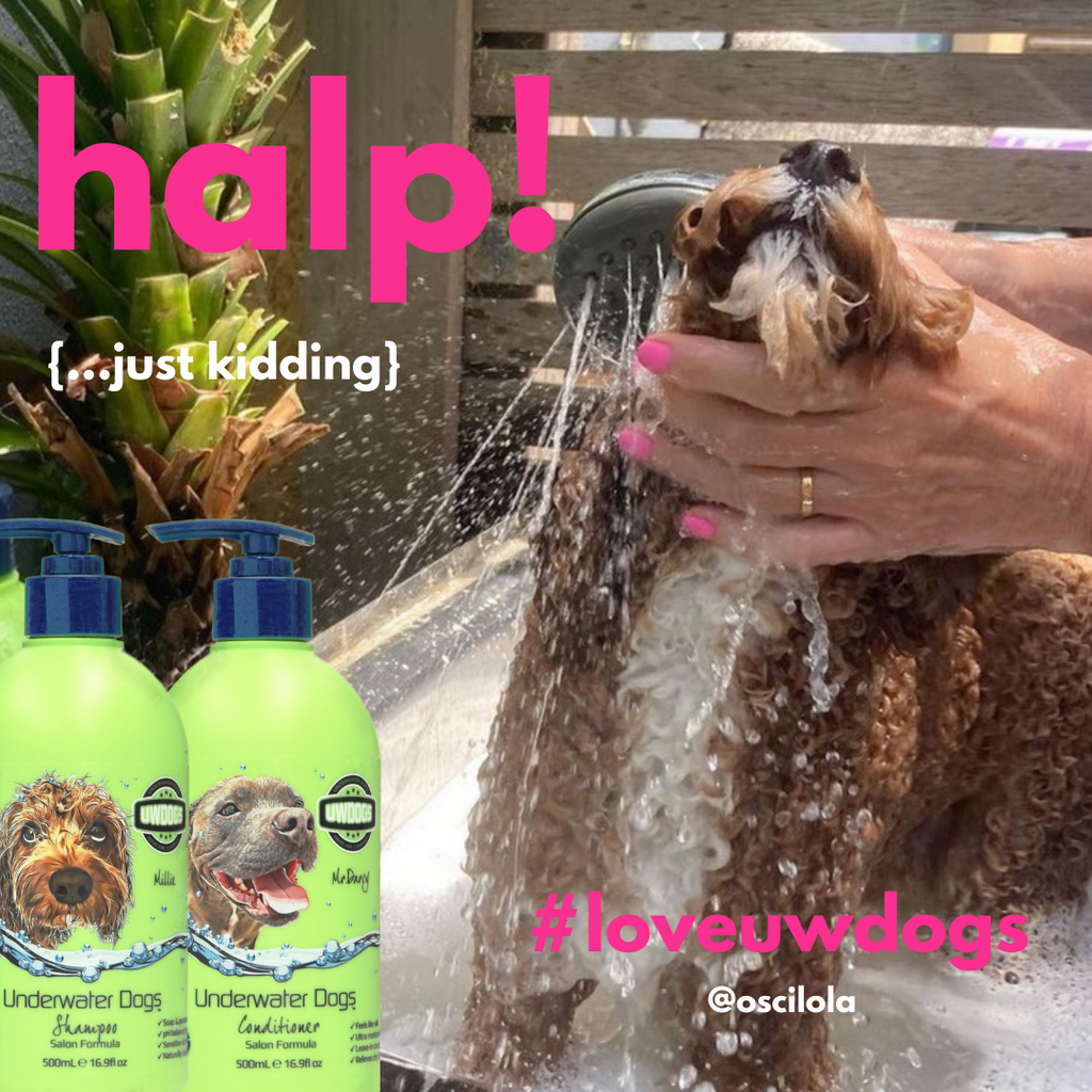 Underwater dogs shampoo hot sale