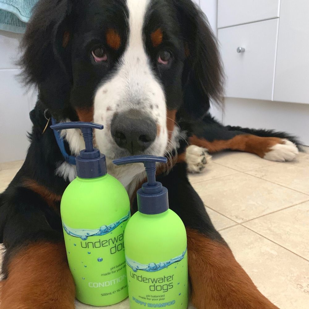 puppy shampoo & conditioner combo