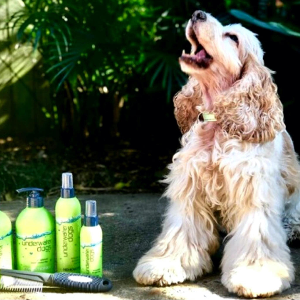 deluxe grooming pamper pack