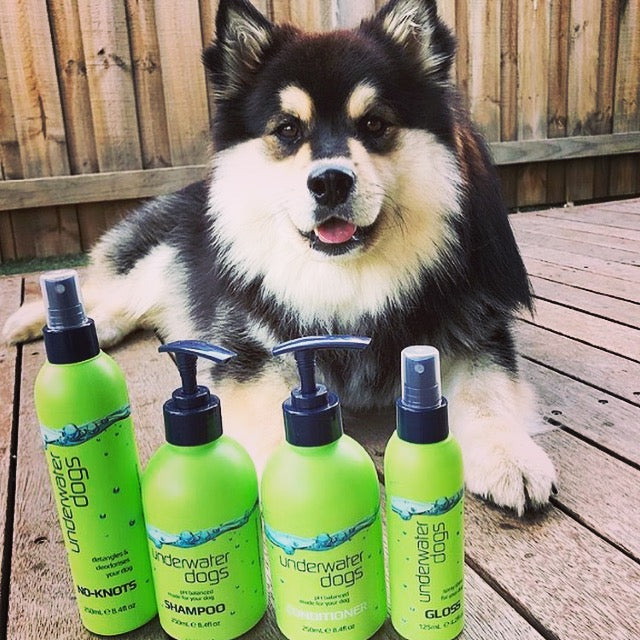 deluxe grooming pamper pack