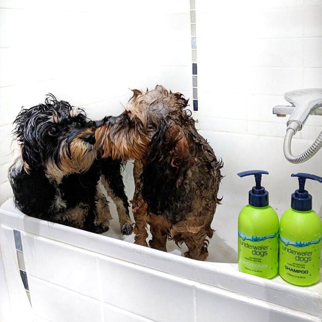 naturally moisturising dog shampoo