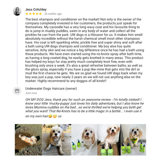 5l no-knots dog detangler